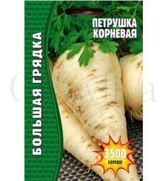 Петрушка корневая  3500 шт РЕДКИЕ СЕМЕНА