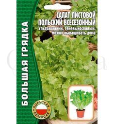 Салат листовой Польский Всесезонный 1000 шт РЕДКИЕ СЕМЕНА