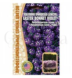 Алисум Лобулярия  Easter Bonnet Violet 20 шт РЕДКИЕ СЕМЕНА