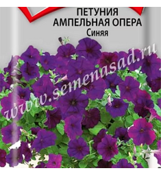 Петуния ампельная Опера Синяя 5 шт ПОИСК