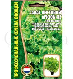 Салат  листовой Афишион 30 шт РЕДКИЕ СЕМЕНА