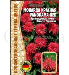 Монарда красная Panorama Red 5 шт РЕДКИЕ СЕМЕНА