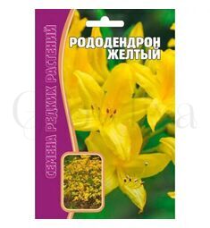 Рододендрон Желтый  РЕДКИЕ СЕМЕНА