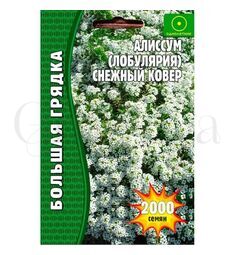 Алисум Лобулярия Снежный Ковер 2000 шт РЕДКИЕ СЕМЕНА