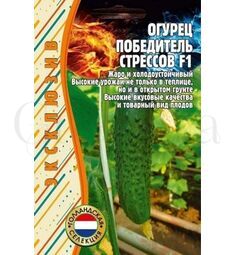 Огурец Победитель Стрессов F1 5+1 шт РЕДКИЕ СЕМЕНА