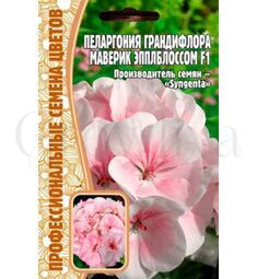 Пеларгония грандифлора  Маверик Эпплблоссом F1 3 шт РЕДКИЕ СЕМЕНА