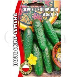 Огурец Изыд (корнишон) 10 шт РЕДКИЕ СЕМЕНА