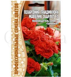Пеларгония грандифлора Маверик Скарлет F1 3 шт РЕДКИЕ СЕМЕНА