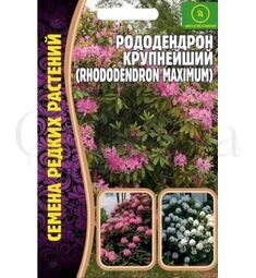 Рододендрон крупнейший РЕДКИЕ СЕМЕНА