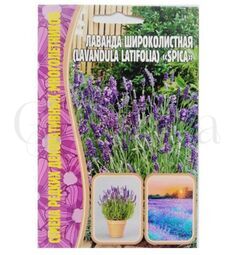 Лаванда Широколистная Spica 30 шт РЕДКИЕ СЕМЕНА