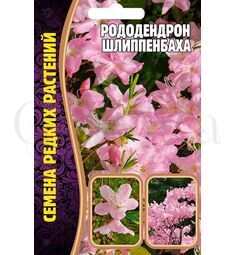 Рододендрон Шлиппенбаха 0,01 г РЕДКИЕ СЕМЕНА