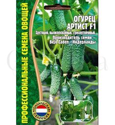 Огурец Артист F1 7 шт РЕДКИЕ СЕМЕНА