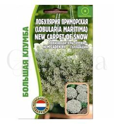 Алисум Лобулярия  New Carpet of Snow 500 шт РЕДКИЕ СЕМЕНА