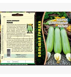Кабачок белоплодный Малыш 15 шт РЕДКИЕ СЕМЕНА