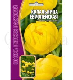 Купальница Европейская 20 шт РЕДКИЕ СЕМЕНА