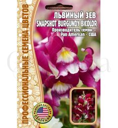 Львиный  Зев Snapshot Burgundy Bicolor F1 5 шт РЕДКИЕ СЕМЕНА