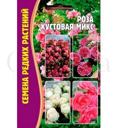 Роза кустовая Микс 10 шт РЕДКИЕ СЕМЕНА