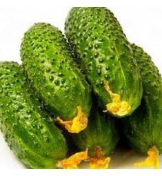 Огурец Полан 10 шт РЕДКИЕ СЕМЕНА