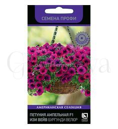 Петуния ампельная Изи Вейв F1 Бургунди Велюр 5 шт ПОИСК