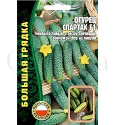 Огурец Спартак F1 (Польша) 50 шт РЕДКИЕ СЕМЕНА