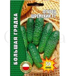 Огурец Шремский F1 (польская селекция) 50 шт РЕДКИЕ СЕМЕНА