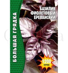 Базилик фиолетовый 1000 шт РЕДКИЕ СЕМЕНА
