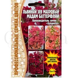 Львиный  Зев Мадам Баттерфляй Три Цвета Бронзы 7 шт РЕДКИЕ СЕМЕНА