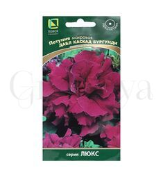 Петуния махровая Дабл каскад Бургунди 10 шт ПОИСК