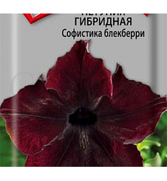 Петуния гибридная Софистика Блекберри 5 шт ПОИСК