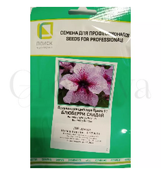 Петуния грандифлора Призм Блюберри  Сандай 100 шт ПОИСК