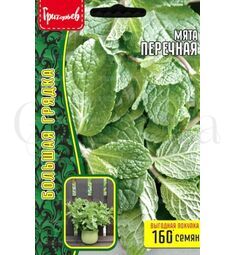 Мята Перечная 0,1гр РЕДКИЕ СЕМЕНА