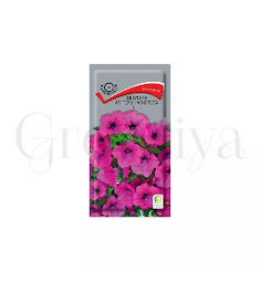 Петуния ампельная Опера Парпл 5 шт ПОИСК