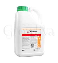 Эфория 50 мл  (фасовка)