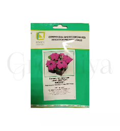 Петуния грандифлора Лимбо Джи Пи Виолет F1 100 шт ПОИСК