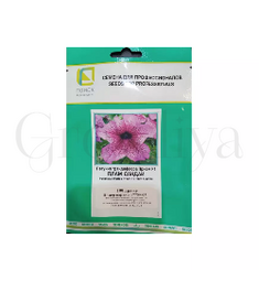 Петуния грандифлора Призм  Плам Сандай 100 шт ПОИСК