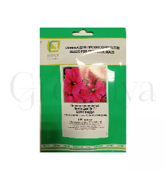 Петуния грандифлора Лимбо Джи Пи Бургунди F1 100 шт ПОИСК