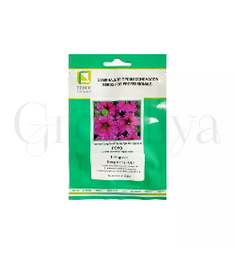 Петуния бахромчатая Эспрессо Фраппе Роуз 100 шт ПОИСК