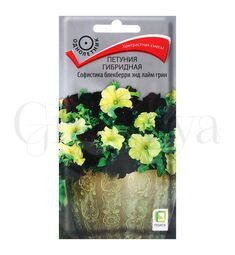 Петуния гибридная Софистика Блекберии энд Лайм Грин 5 шт ПОИСК