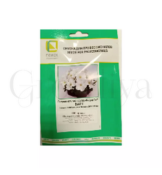 Петуния мультифлора Мамбо Джи Пи Вайт 100 шт ПОИСК