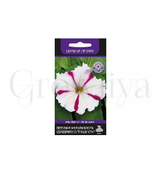 Петуния мультифлора Селебрити Бургунди стар 30 шт ПОИСК