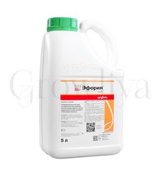 Эфория 100 мл  (фасовка)