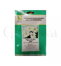 Петуния грандифлора Лимбо Джи Пи F1 Вайт 100 шт ПОИСК