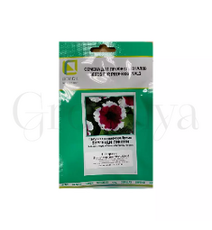 Петуния грандифлора Дримс Бургунди Пикоти 100 шт ПОИСК