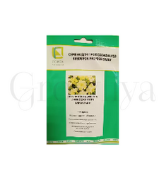 Петуния грандифлора Лимбо Джи Пи Еллоу Лайм F1 100 шт ПОИСК