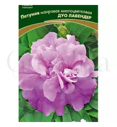 Петуния махровая многоцветковая Дуо Лавендер 10 шт ПОИСК