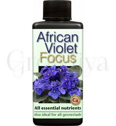 GT African Violet Focus для фиалок 300 мл