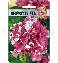 Петуния махровая  Пируэтт Ред 100 шт ПОИСК