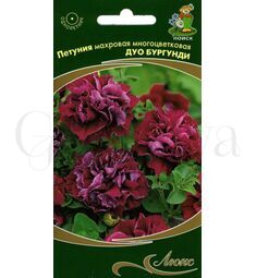 Петуния махровая многоцветковая Дуо Бургунди 10 шт ПОИСК