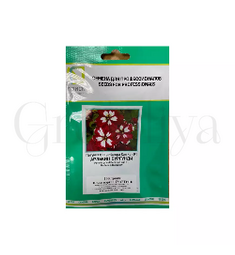 Петуния  грандифлора Кан Кан Арлекин Бургунди  100 шт ПОИСК