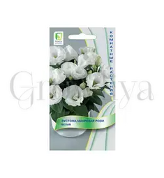 Эустома махровая Рози Белая 5 шт ПОИСК